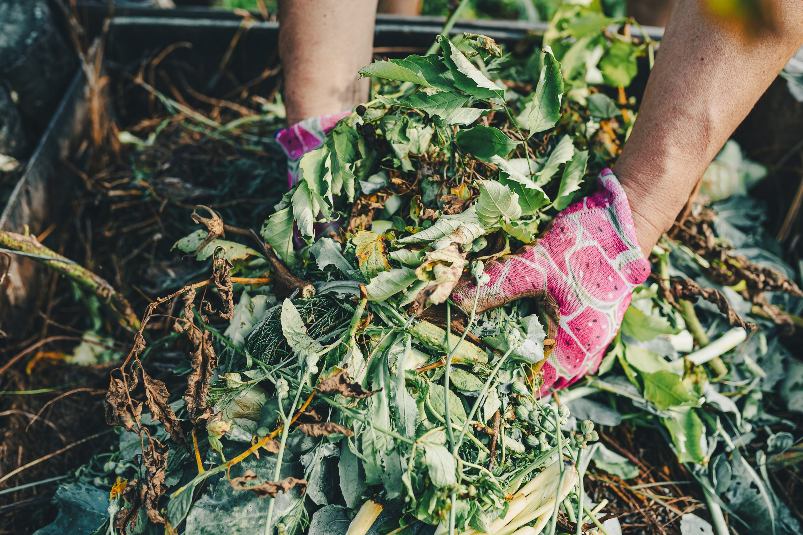 An image of a gardener wearing gloves and holding a handful of garden waste.